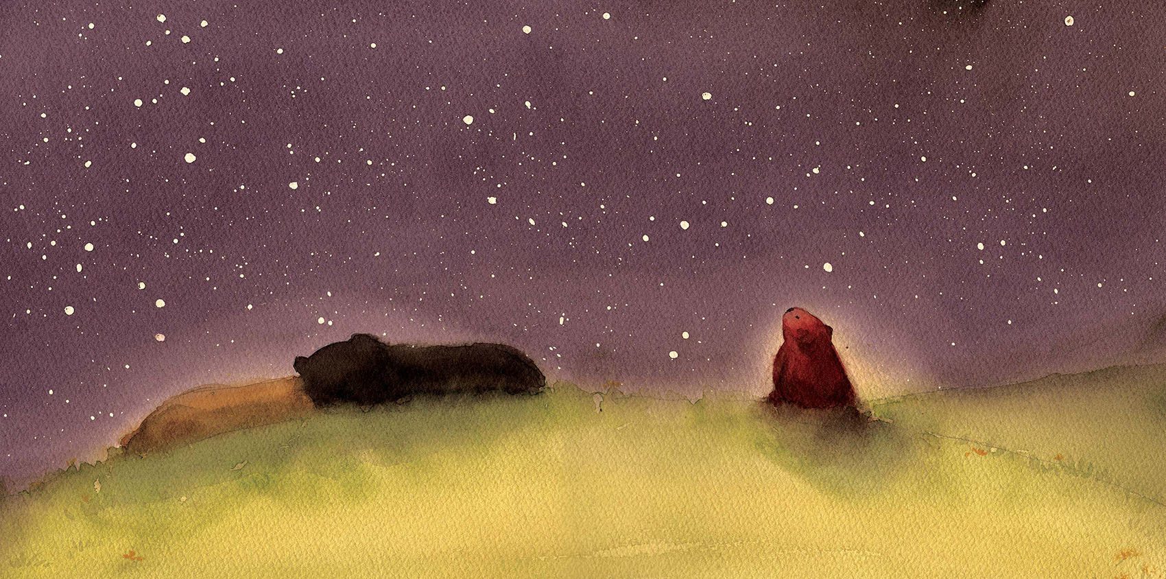 Watercolor illustration of two bears sleeping on a grassy hill under a starry night sky, and one bear cub sitting upright, looking to the sky.