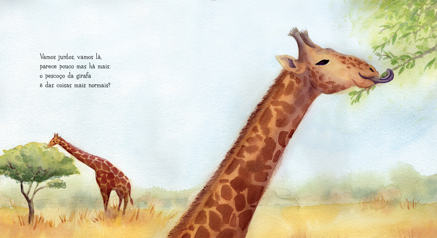 Watercolor illustration of two giraffes in a savanna; one giraffe is close-up using its tongue to eat leaves, while the other feeds from a distant tree under a blue sky.
