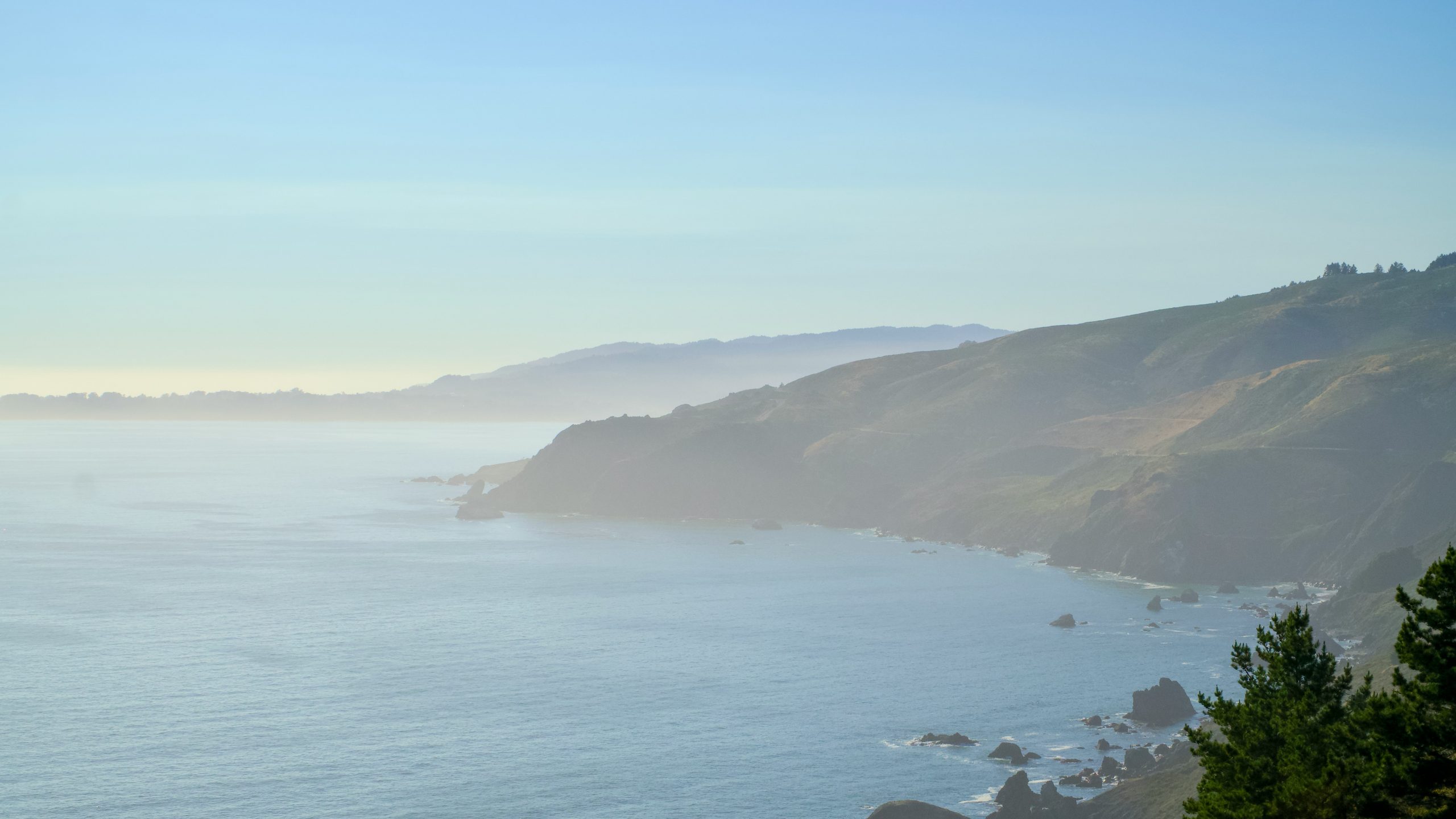 The Pacific coastline seen from a bluff at first light