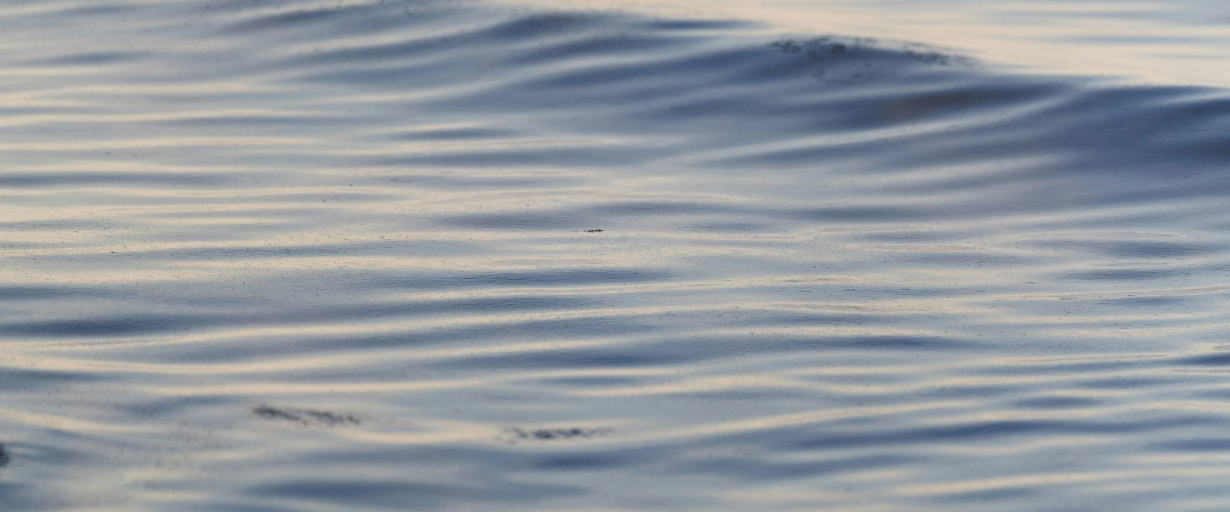 Gentle waves on a misty ocean at dawn
