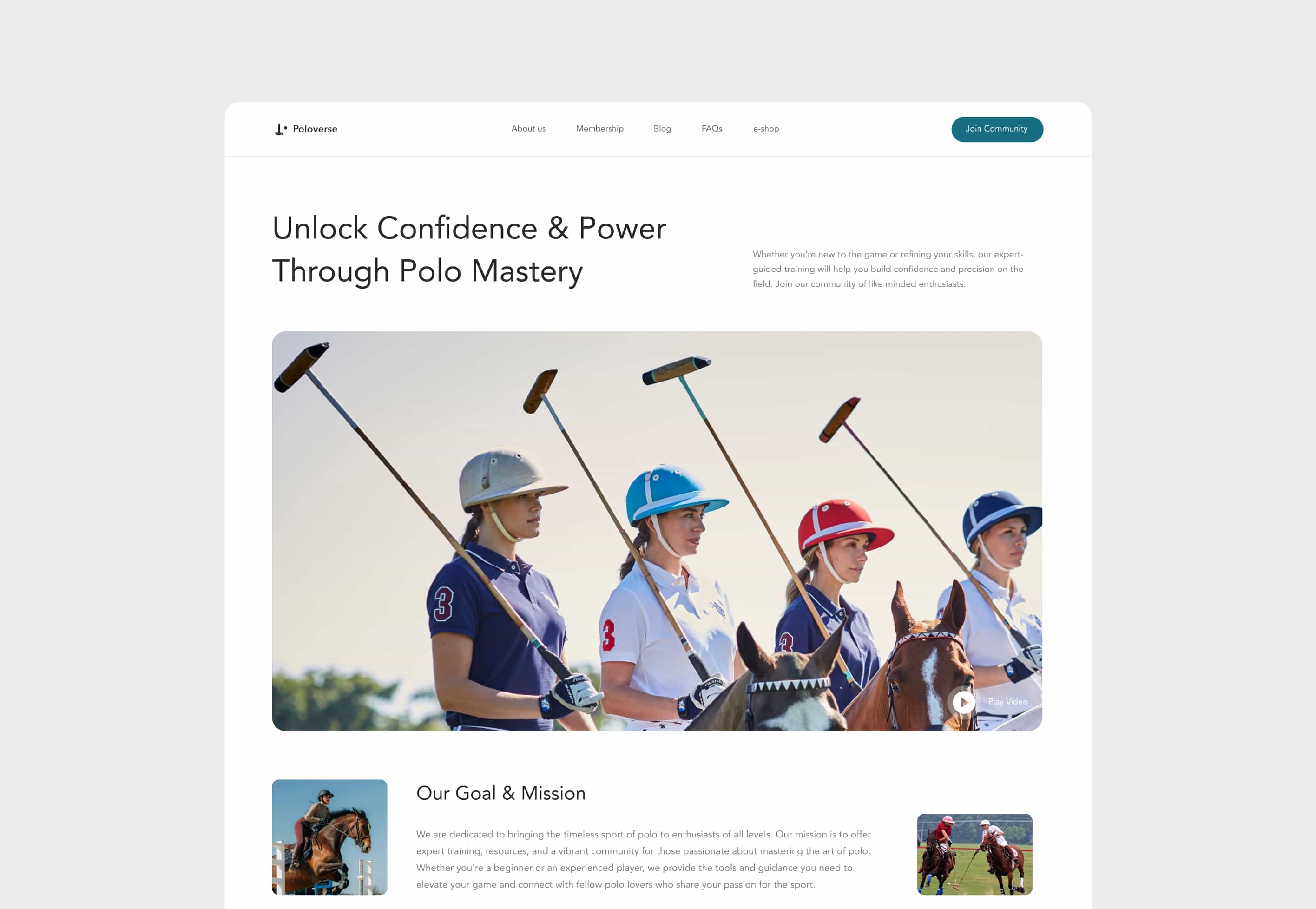 Polo website