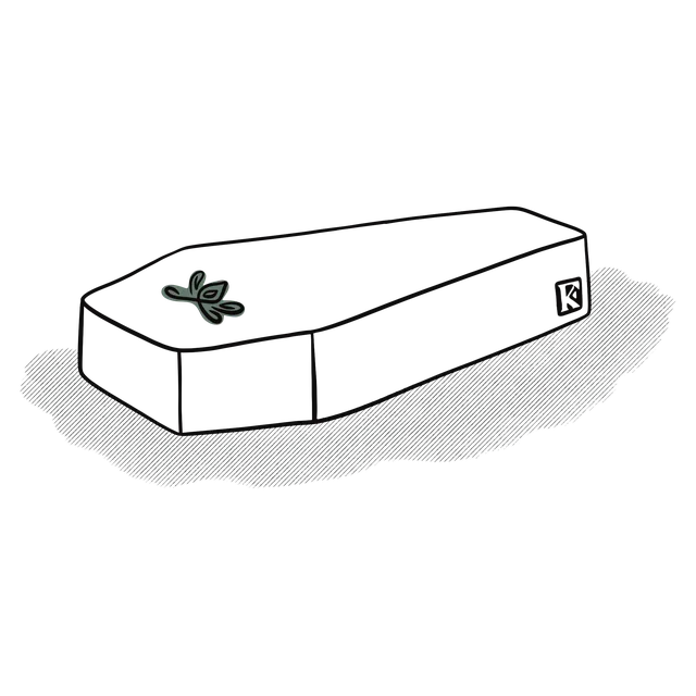 Ilustrație: sicriu cu un mic aranjament floral — produse funerare