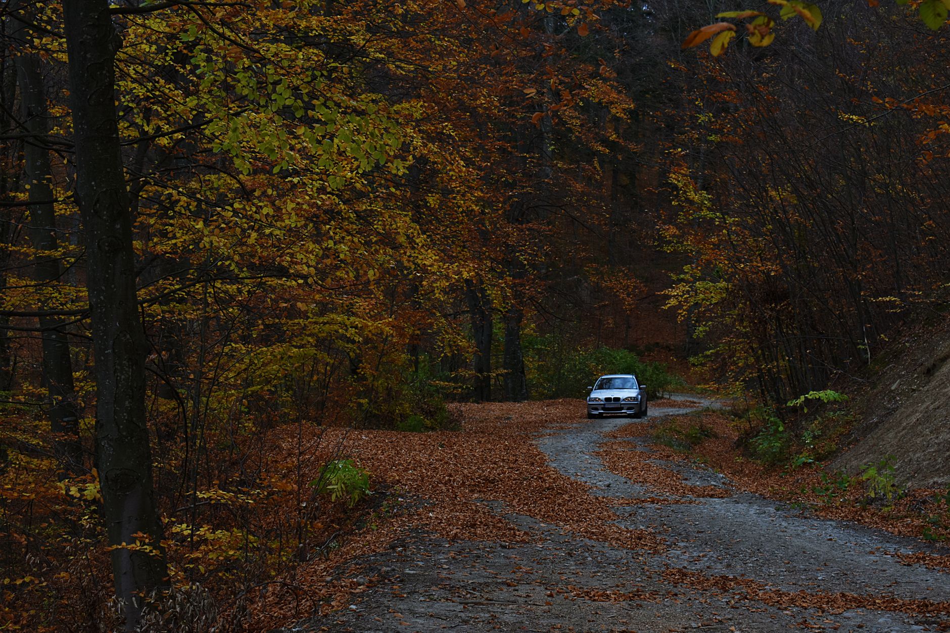 Zalău