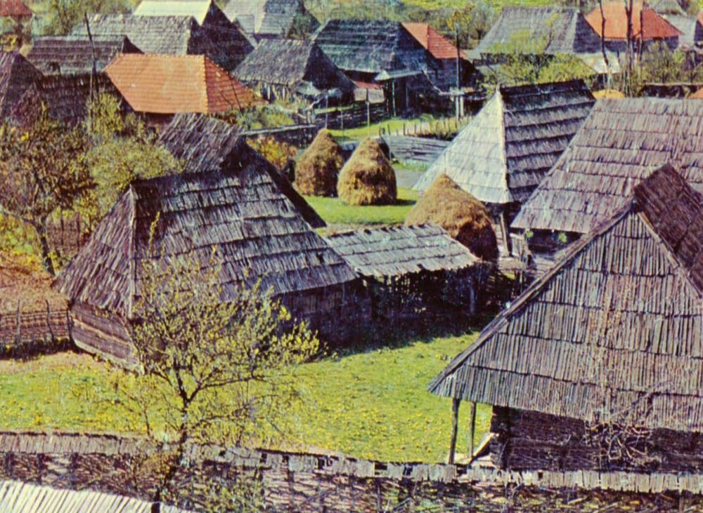 Negrești-Oaș