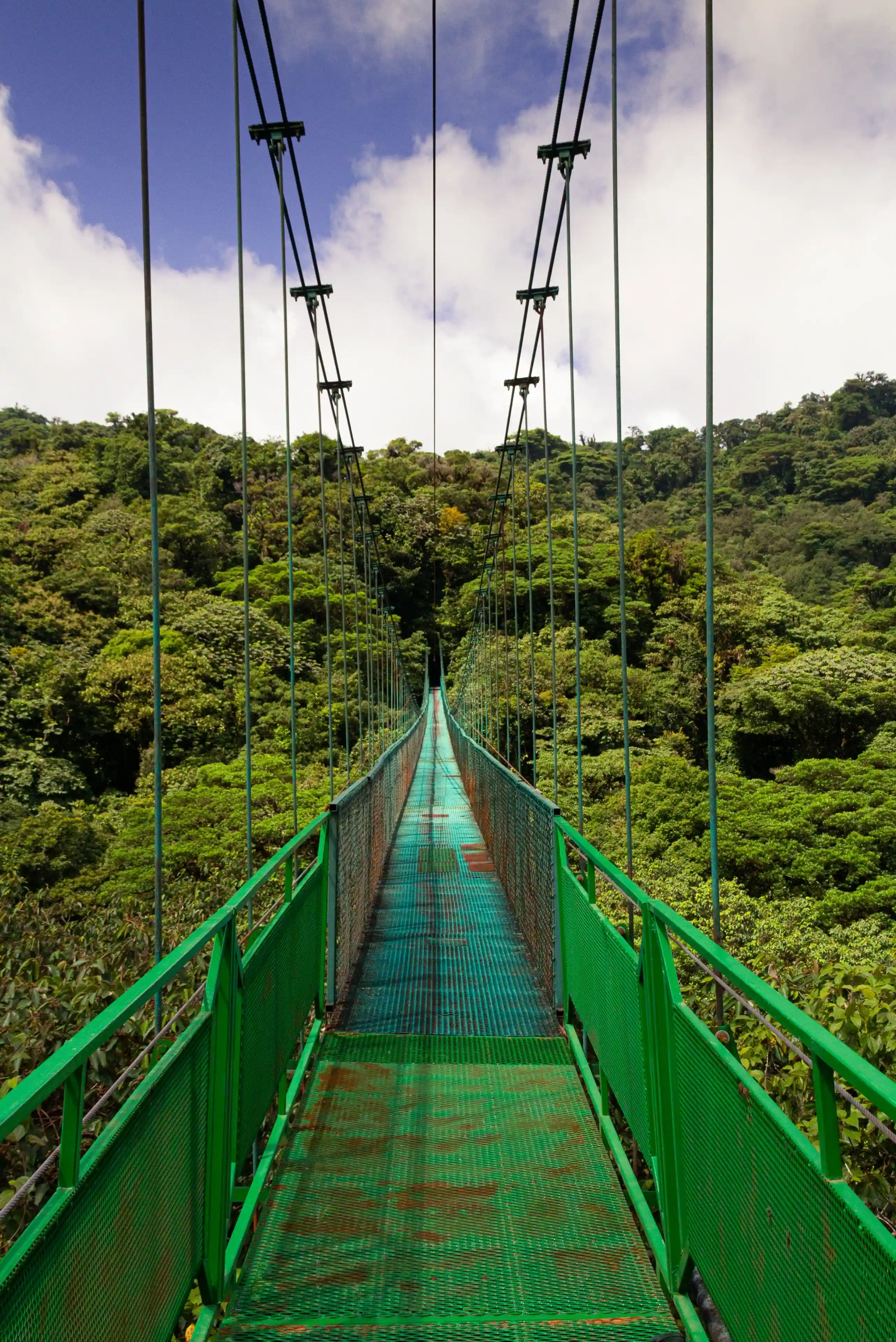 Monteverde Hanging Bridge
