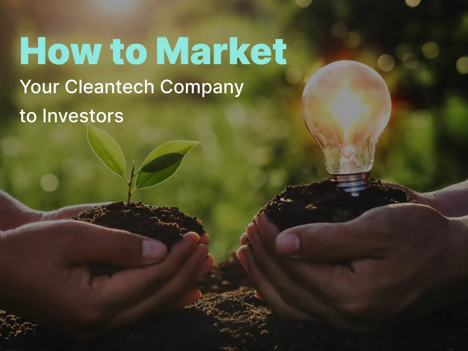 Blog Post Featured Image Thumbnail