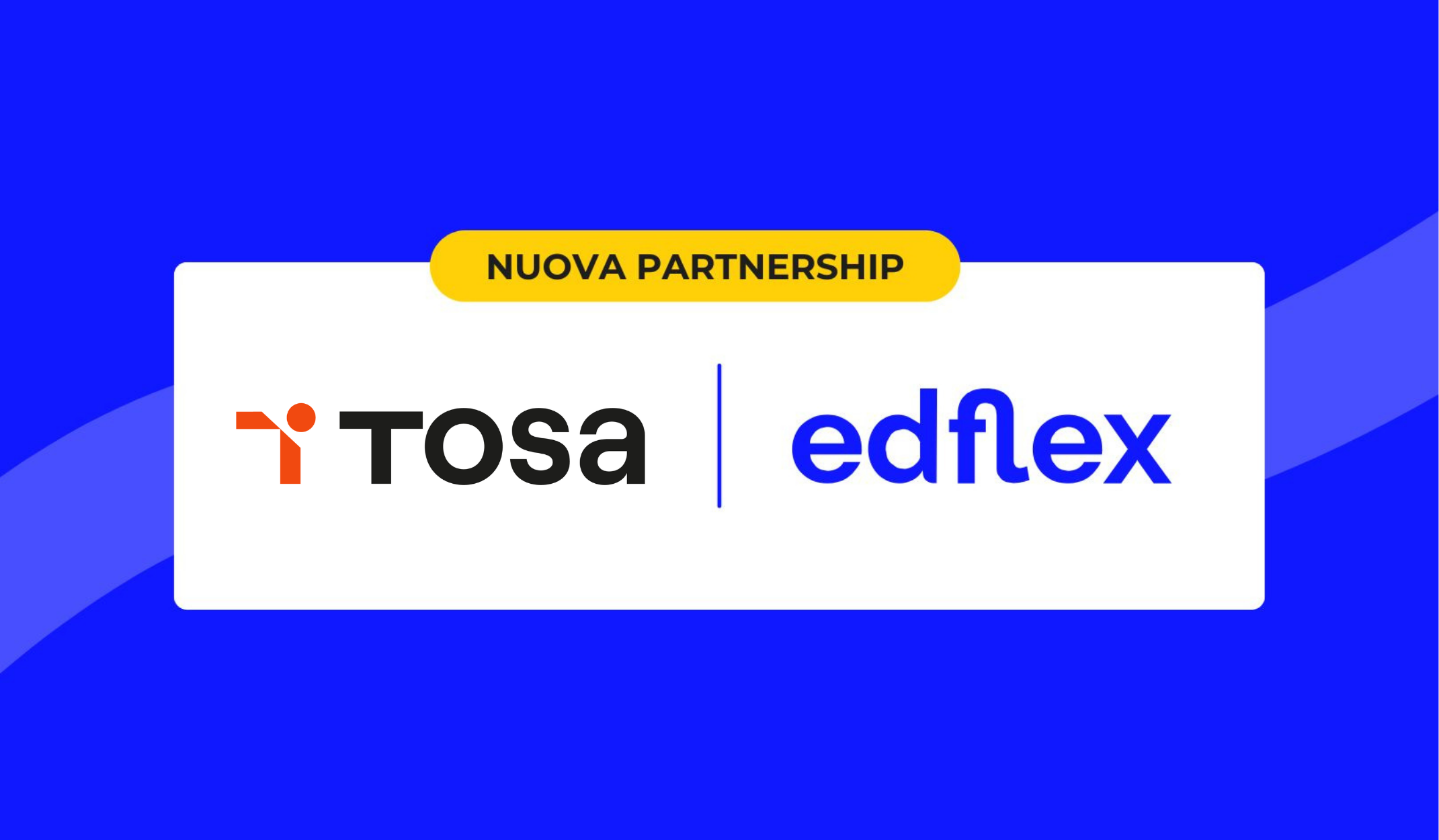 Tosa Isograd x Edflex