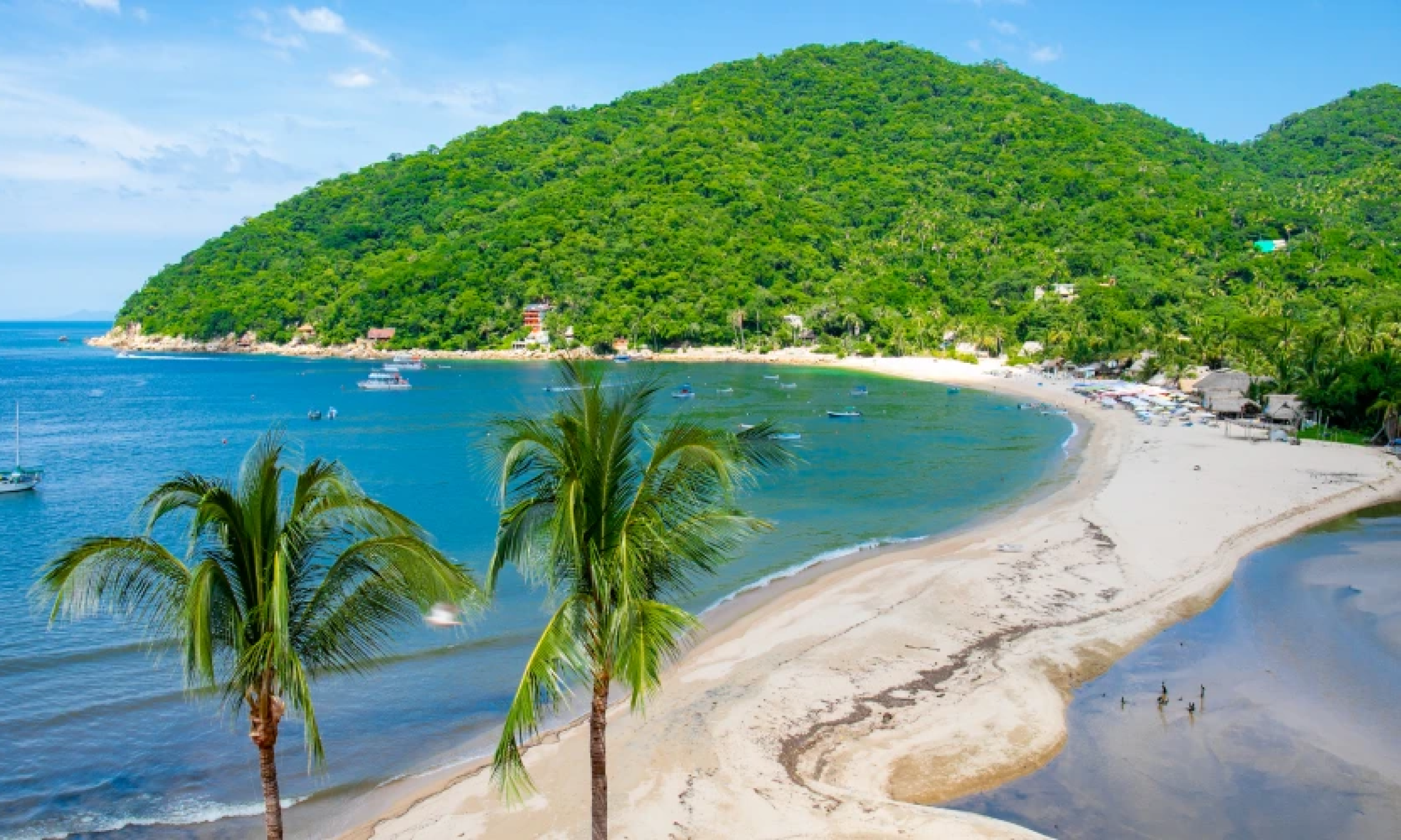 Tropical beach with palm trees, anchored boats, and a green hillside in the background.
