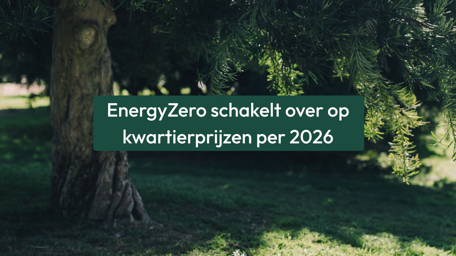 EnergyZero stapt over op kwartierprijzen voor stroom in 2026
