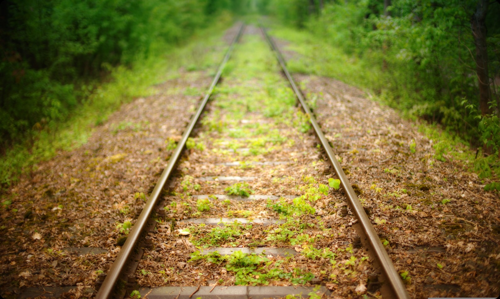 A train track with grass growing on it.