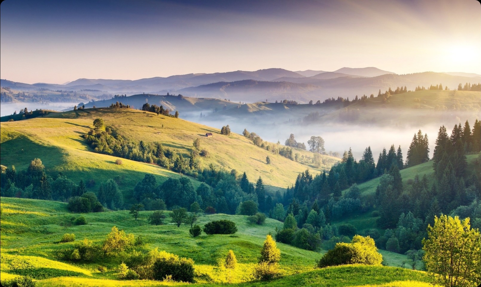 A lush green hillside with trees and a sunset in the background.