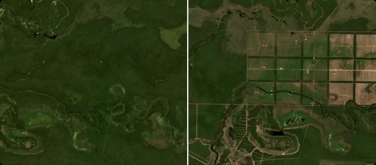A split image of a forest with a river and a field.