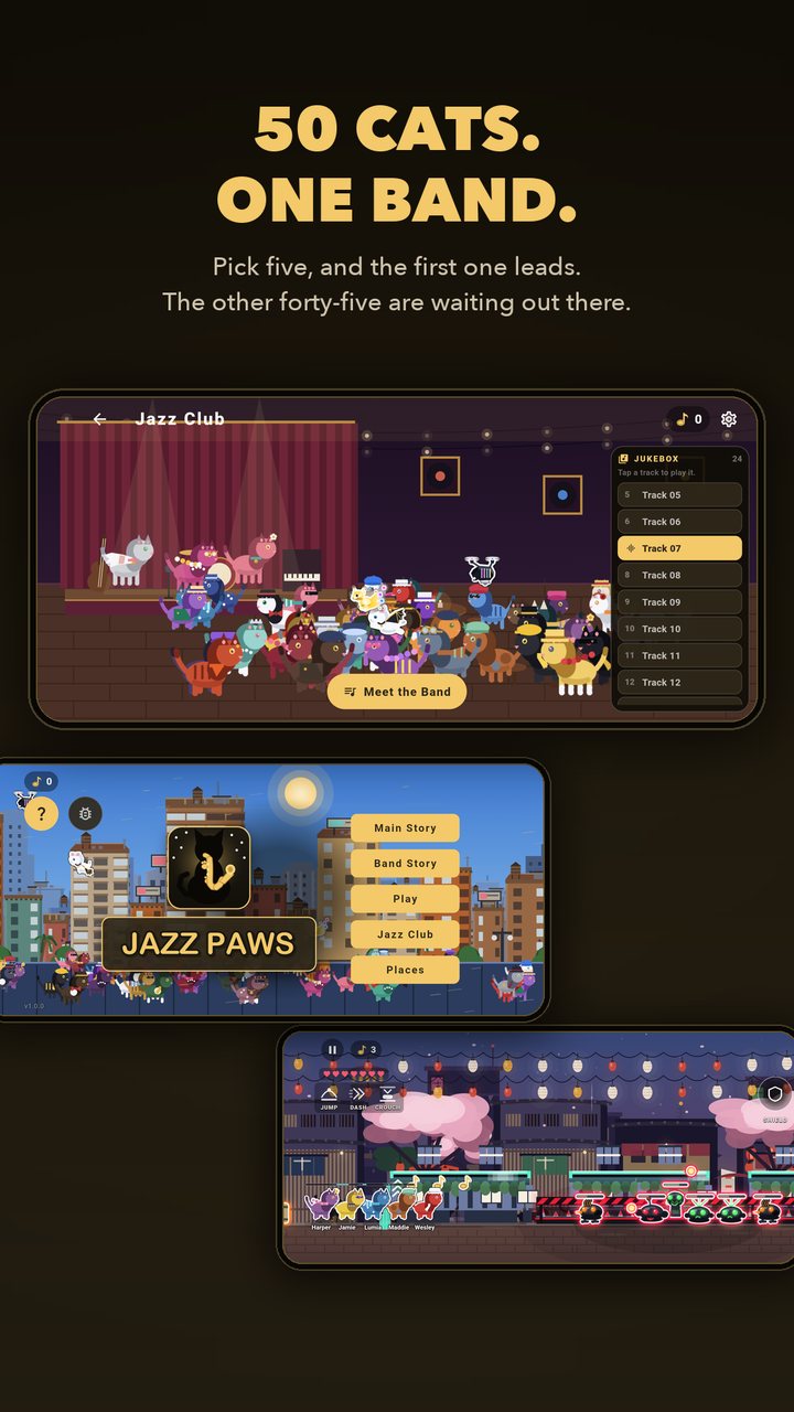 Store slide: 50 cats, one band