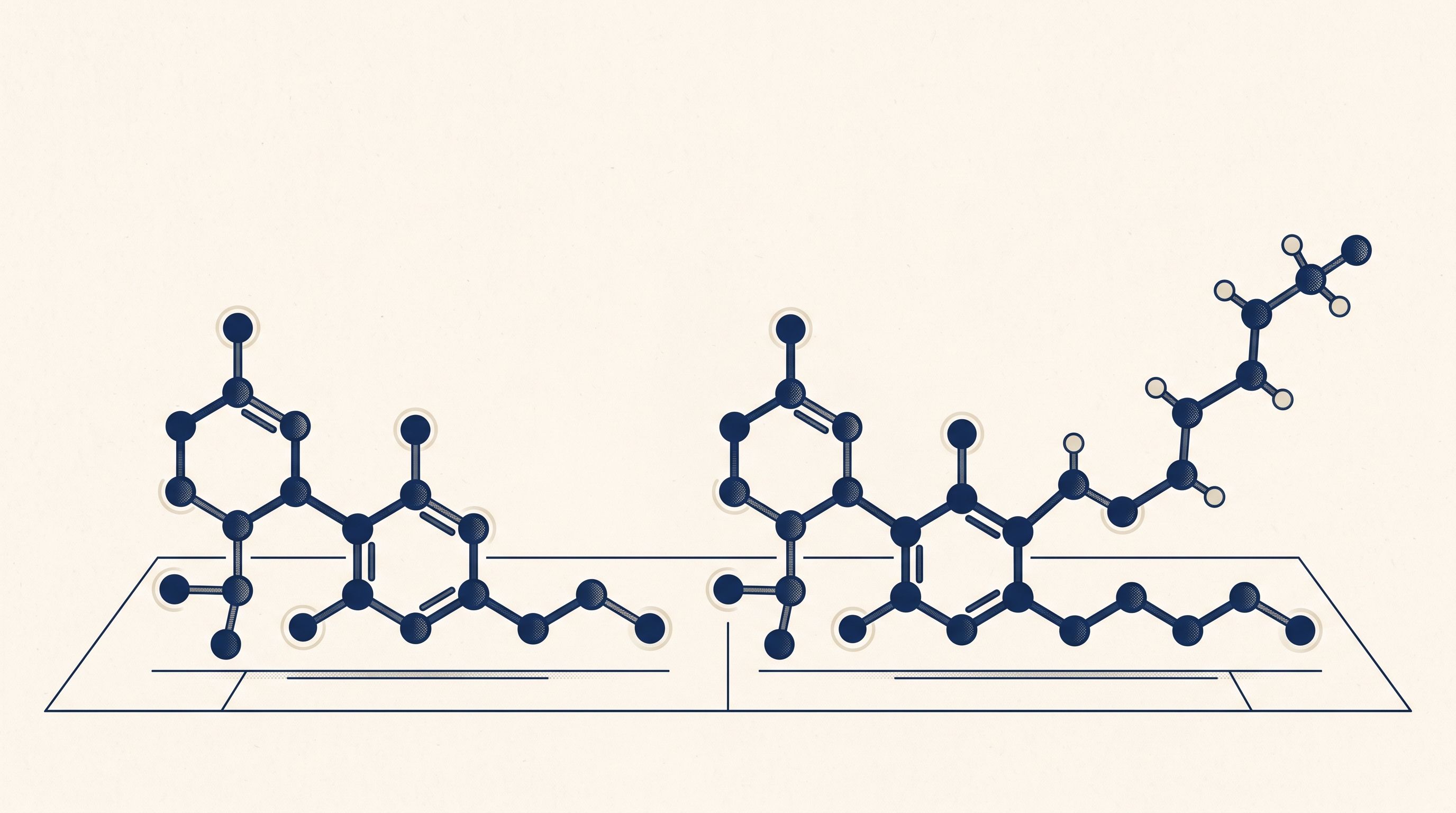 Stylized comparison of THC-P and delta-9 THC molecular structures, illustrating the seven- versus five-carbon side chain