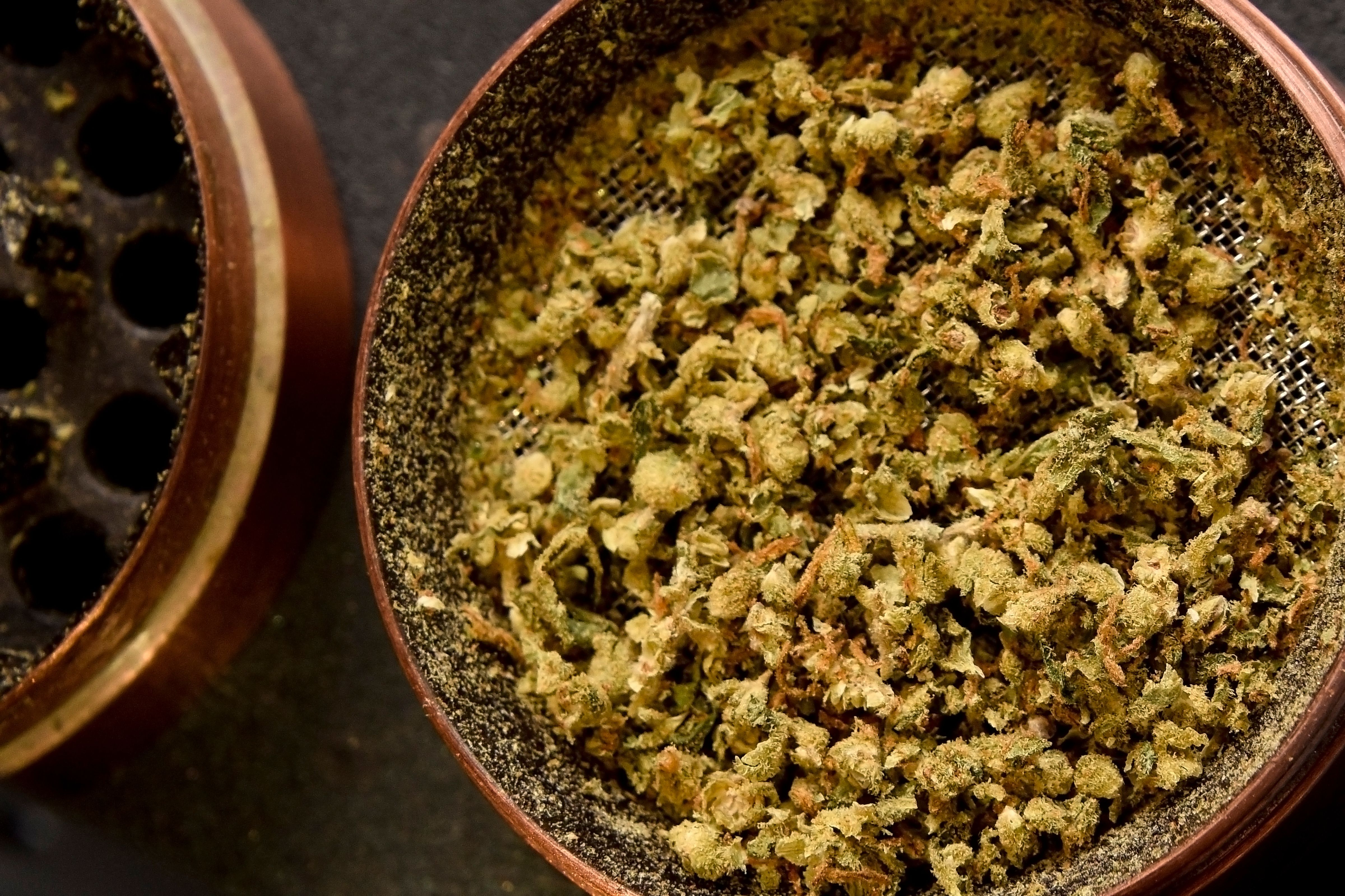 Ground cannabis flower on a grinder screen with fine kief collected around the rim