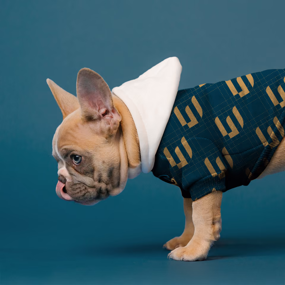 Get inspired by Wybon, Franse bulldog met logo patroon - Branding by SIX agency