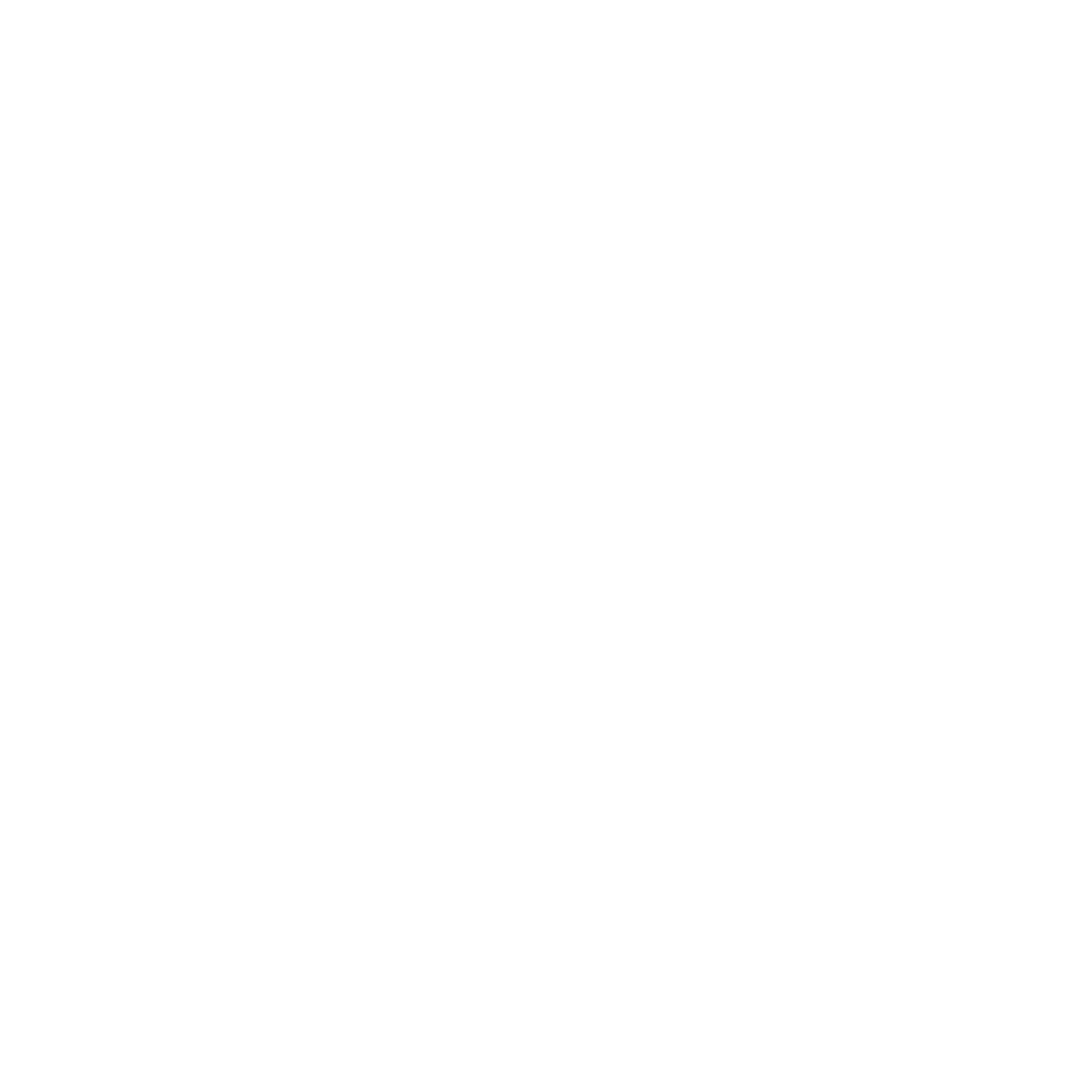 An icon representing the YouTube logo.