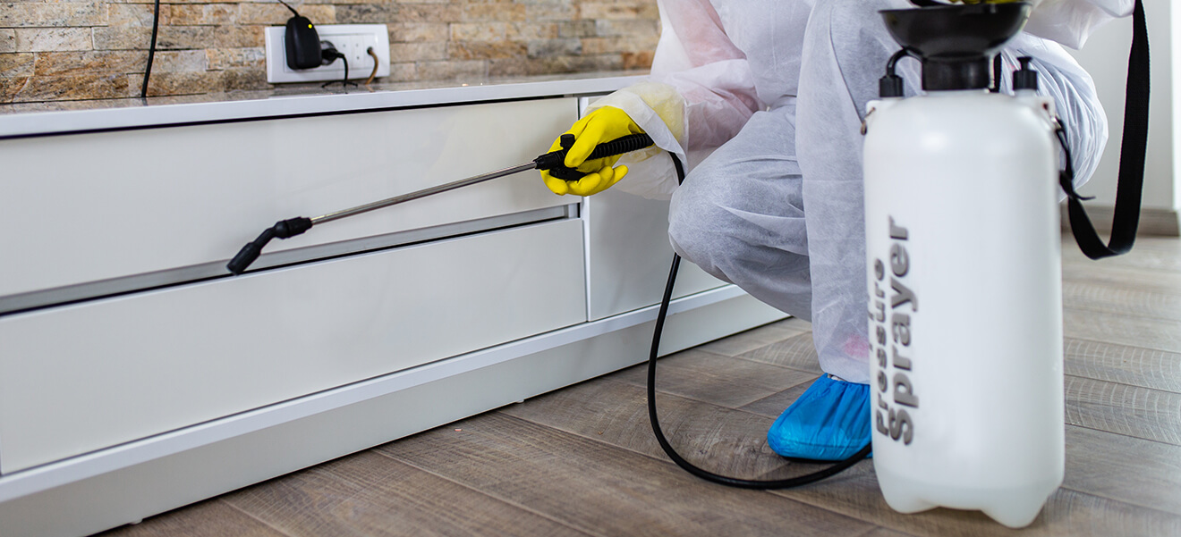 Sanitizing & Disinfection