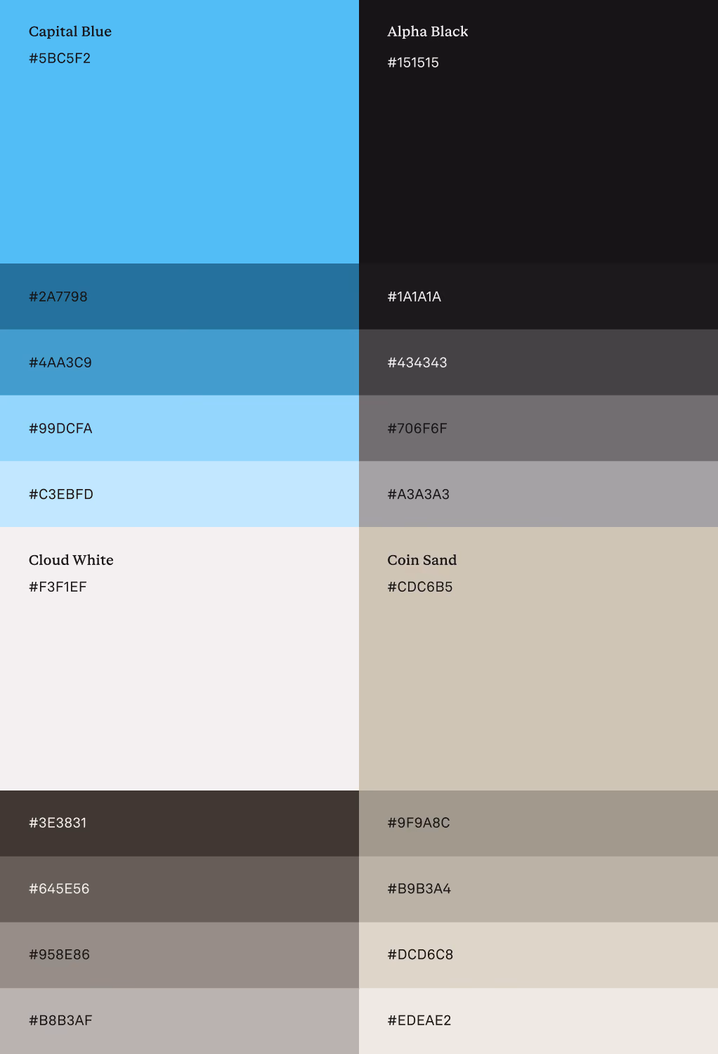 Color palette with shades of blue, black, white, and beige, each labeled with hex codes and names.