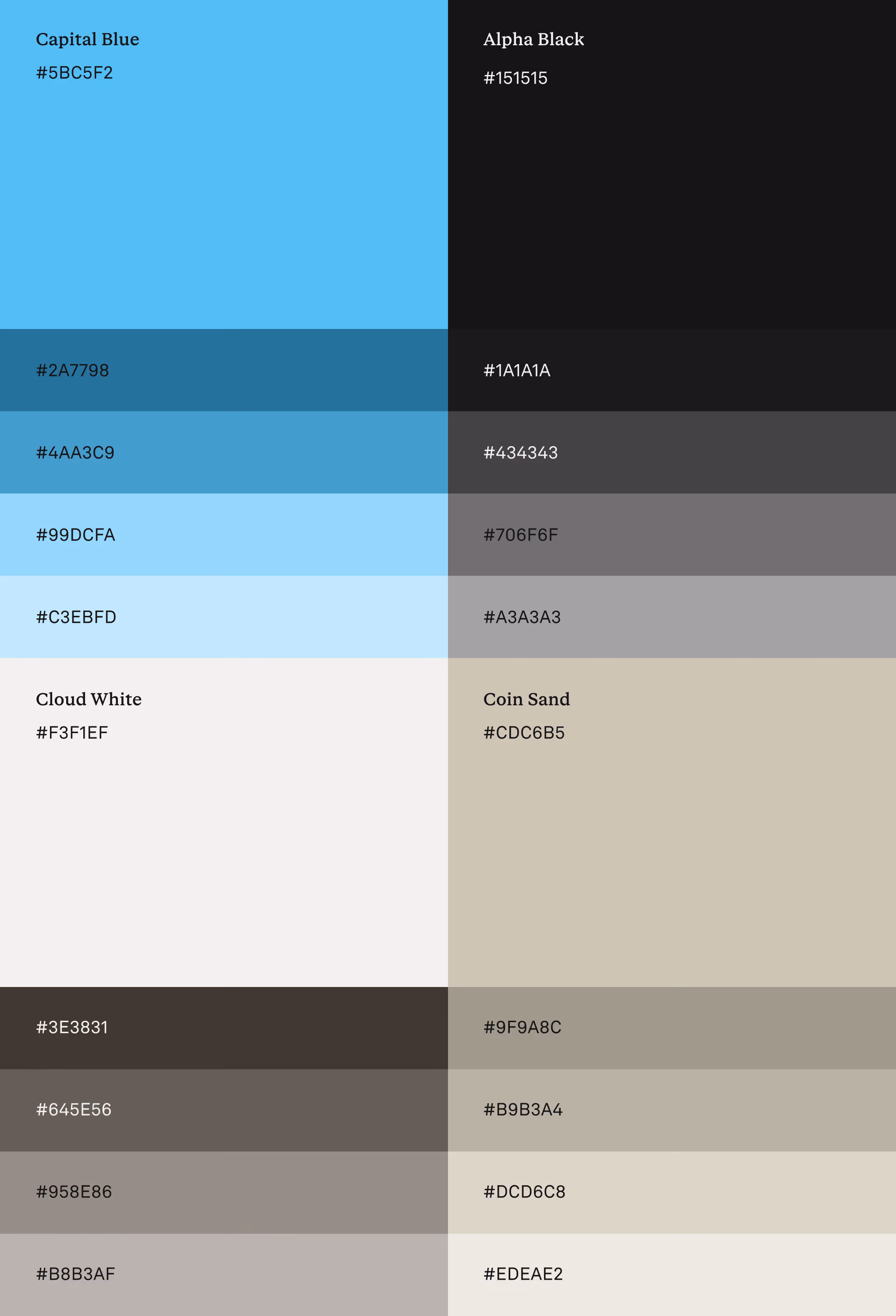 Color palette with shades of blue, black, white, and beige, each labeled with hex codes and names.