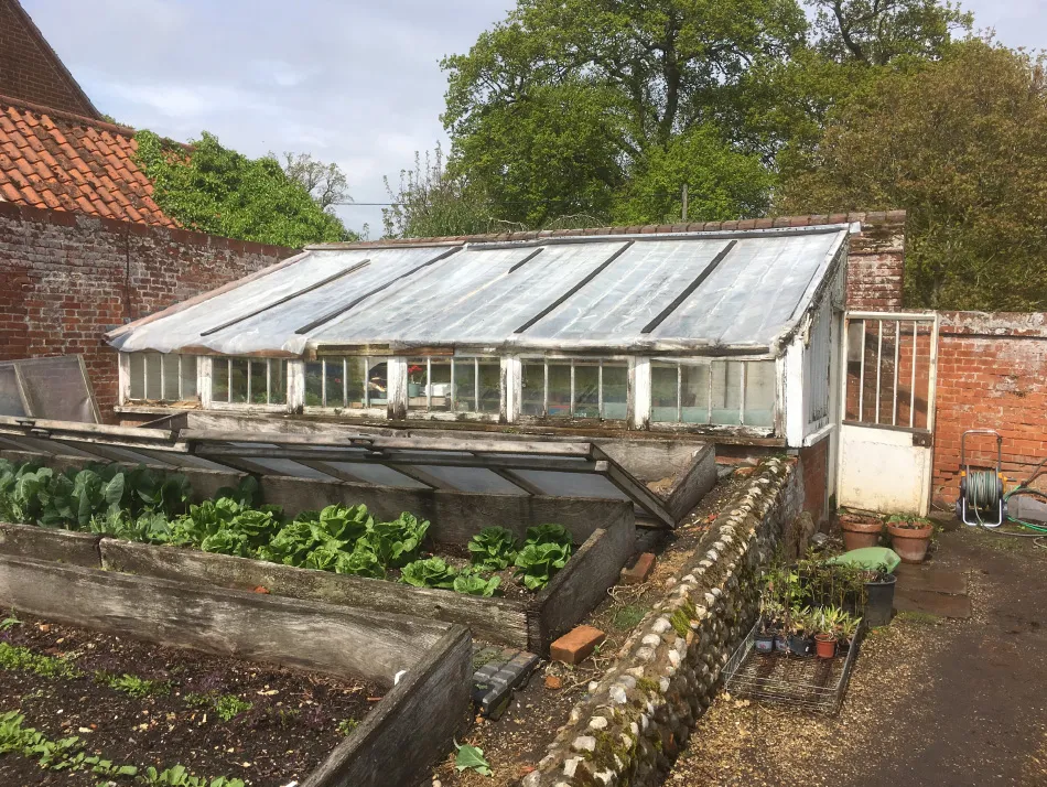 Old wooden greenhouse with glass roof and adjacent garden beds with leafy green plants inside a brick-walled garden.