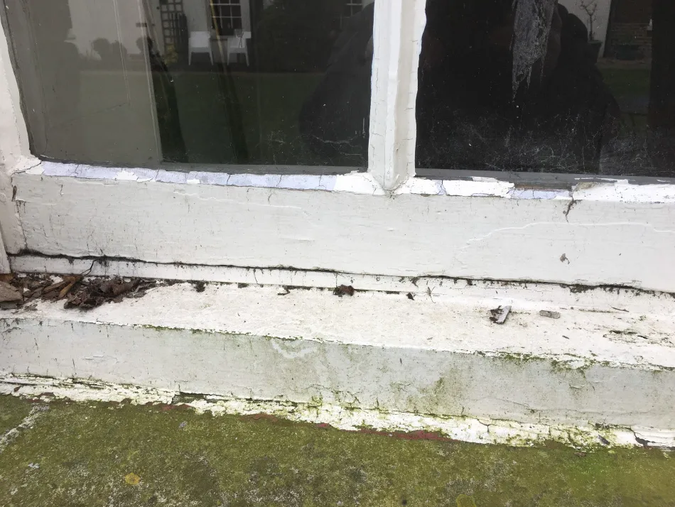 Close-up of an old white painted window frame and windowsill with peeling paint, dirt, and moss growth.