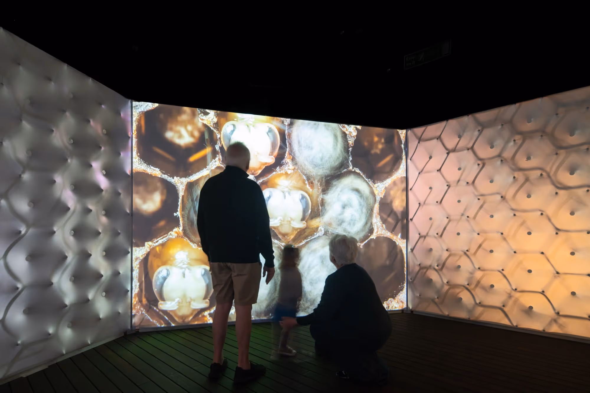 Bees: A Story Of Survival At Liverpool's World Museum (Image Mark Hadden)