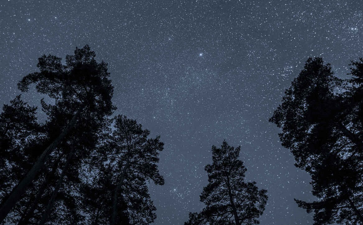 High Force Stargazing (Image: Gary Lintern)