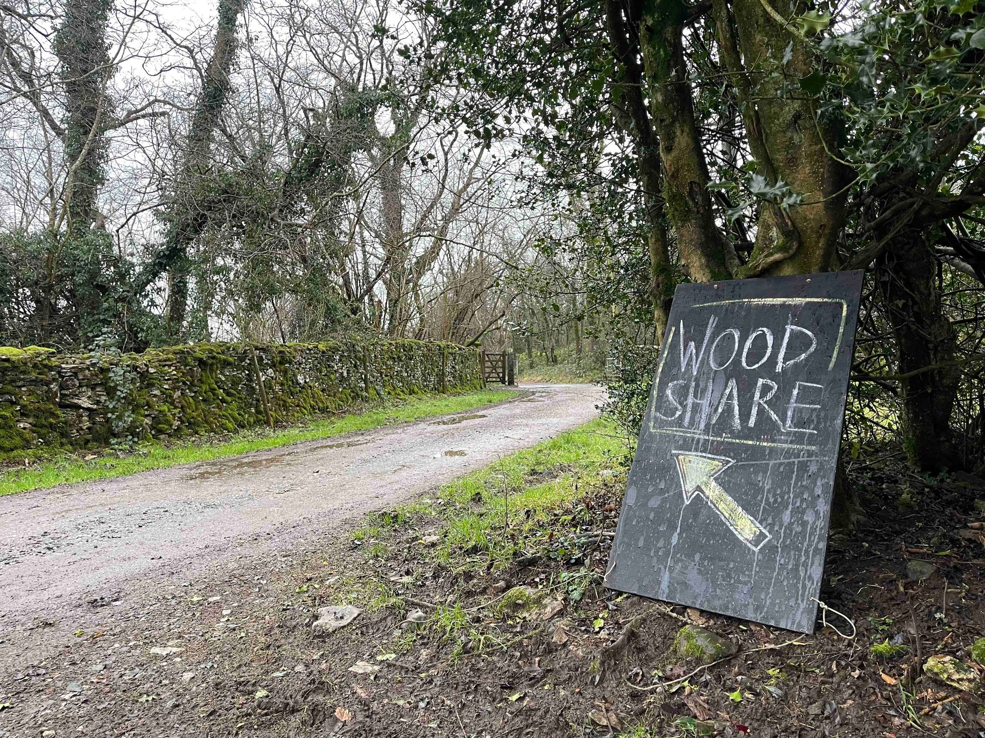 If You Go Down To The Woods Today….