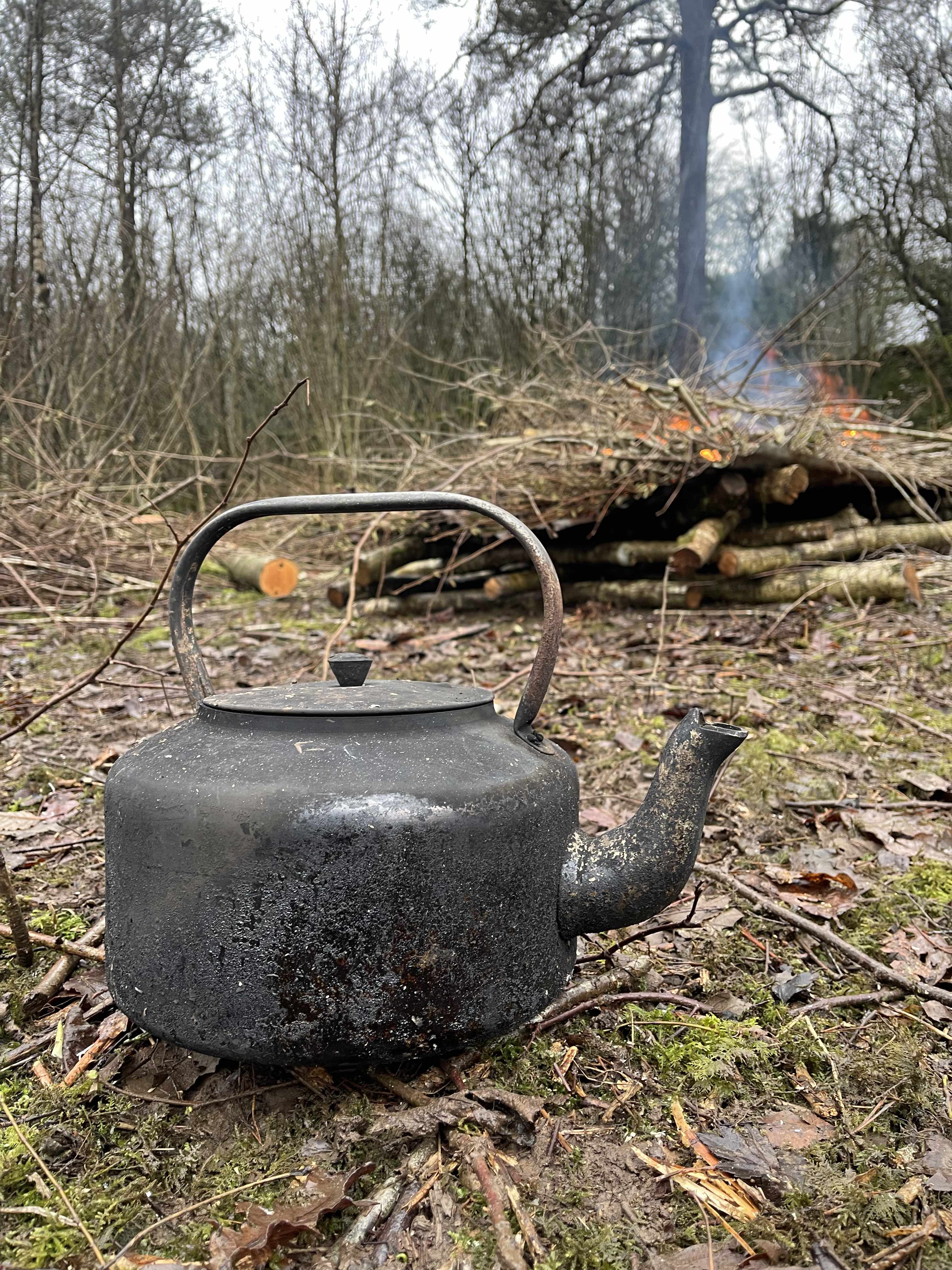 Woodmaters Woodshare Scheme at Holeslack Woods near Kendal in Cumbria