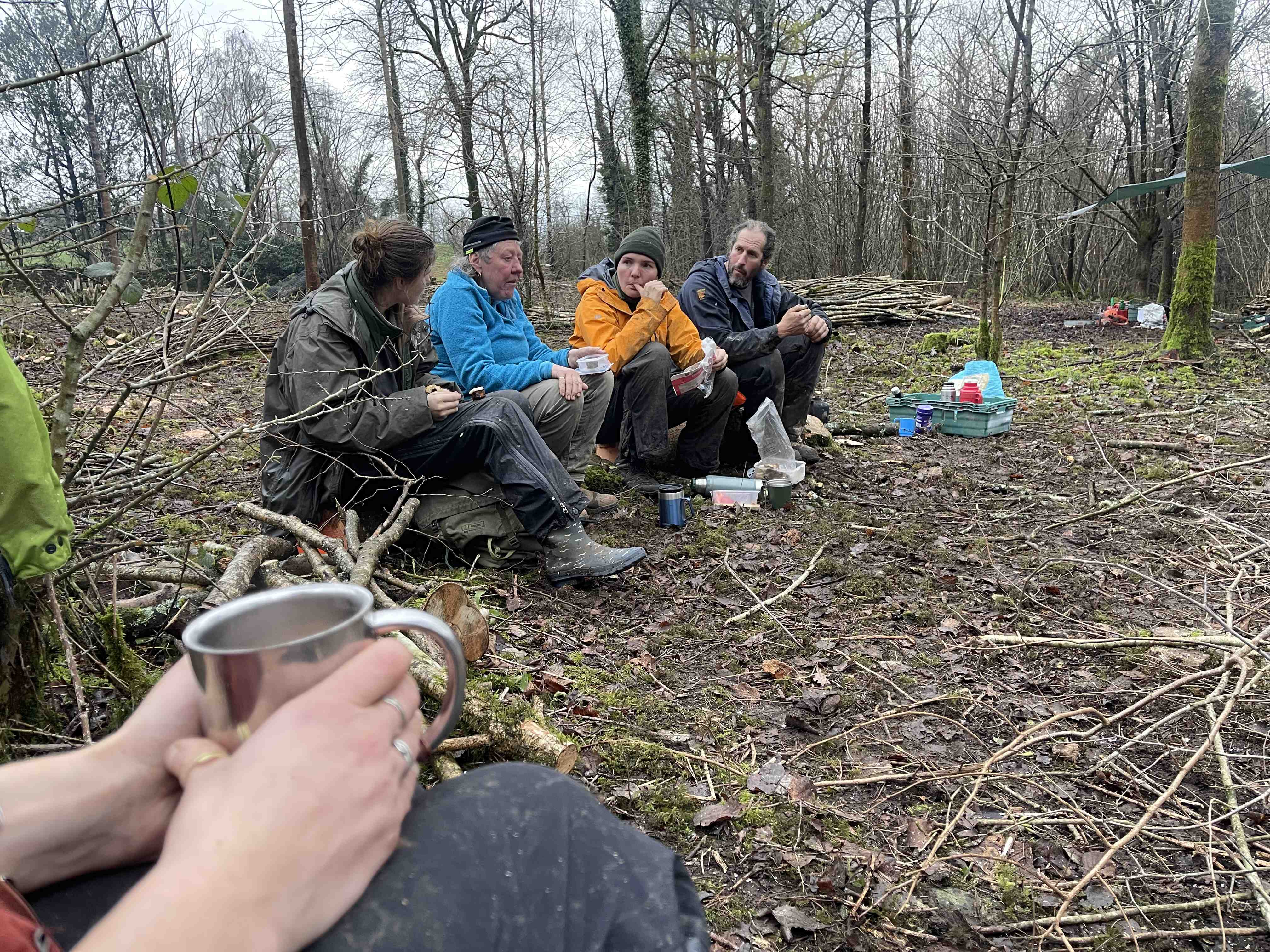 Woodmaters Woodshare Scheme at Holeslack Woods near Kendal in Cumbria
