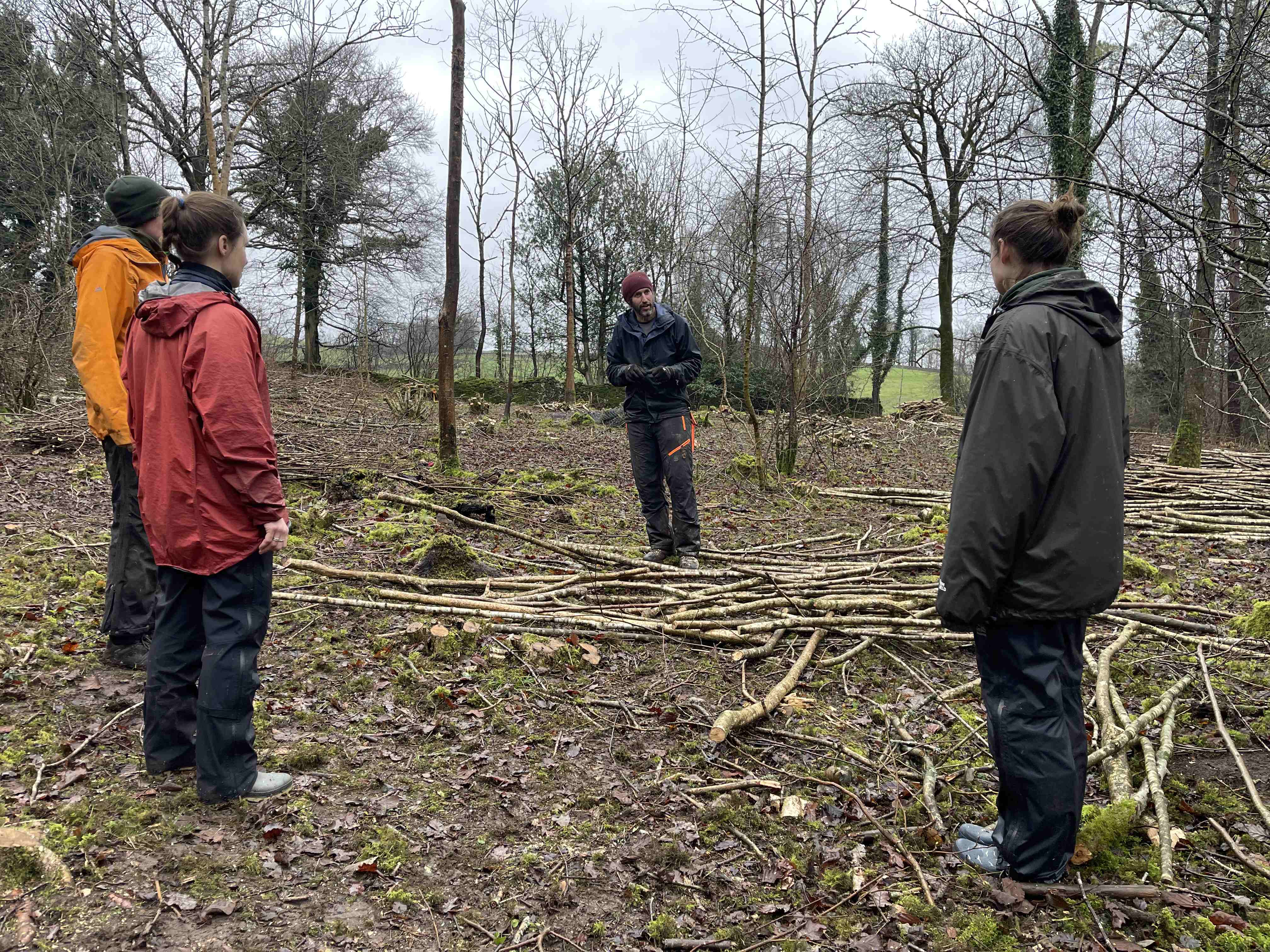 Woodmaters Woodshare Scheme at Holeslack Woods near Kendal in Cumbria