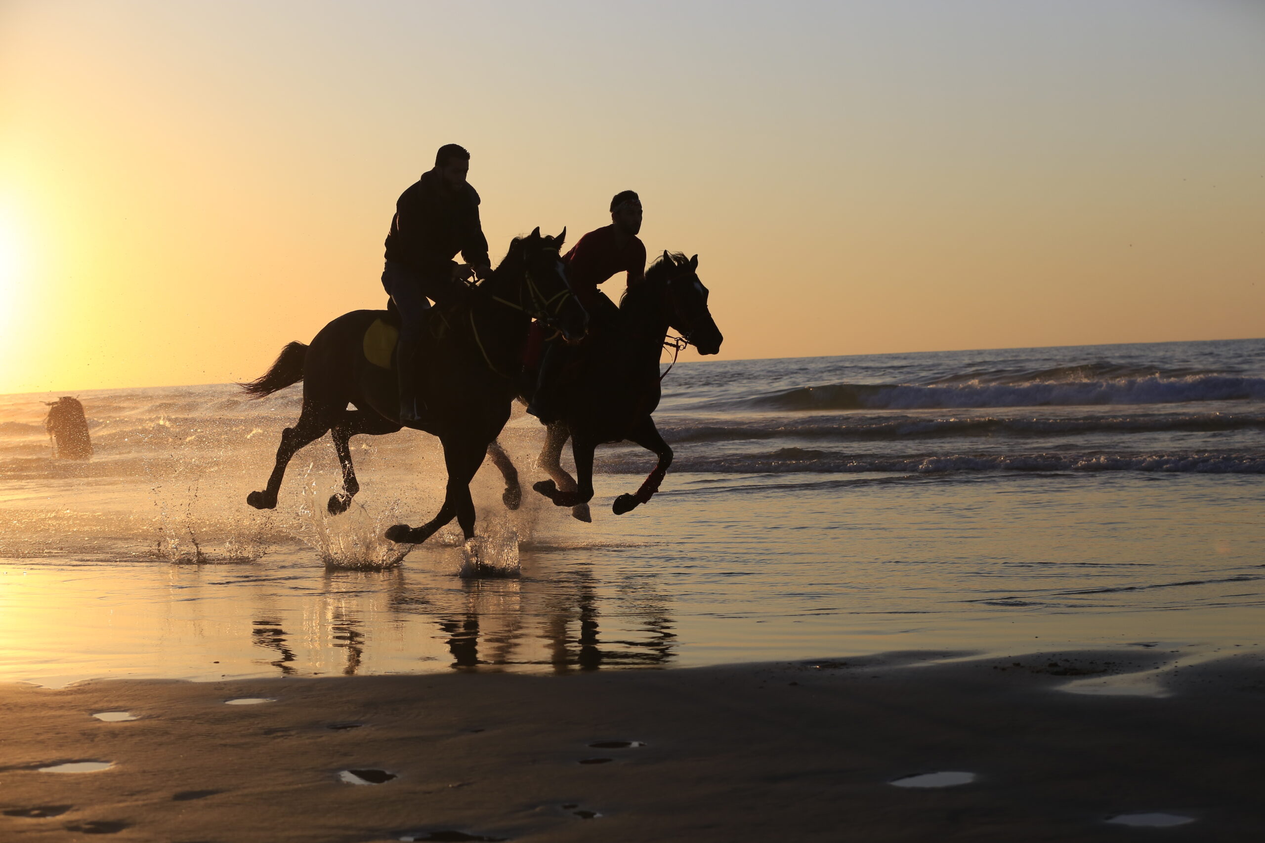 Fadi A. Thabet Gaza photography at East Street Arts