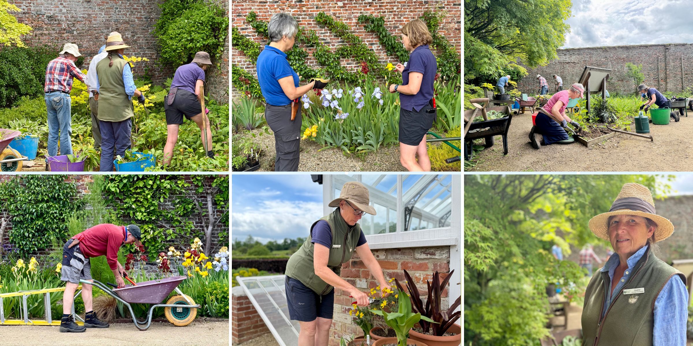 The Volunteer team at Helmsley Walled Garden