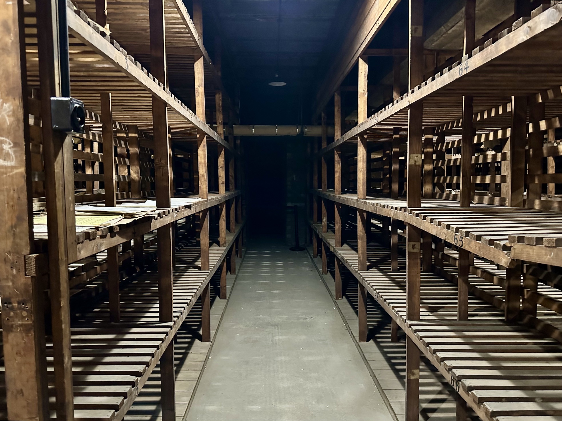 Welcome to Third Class: Cunard's basement holding area