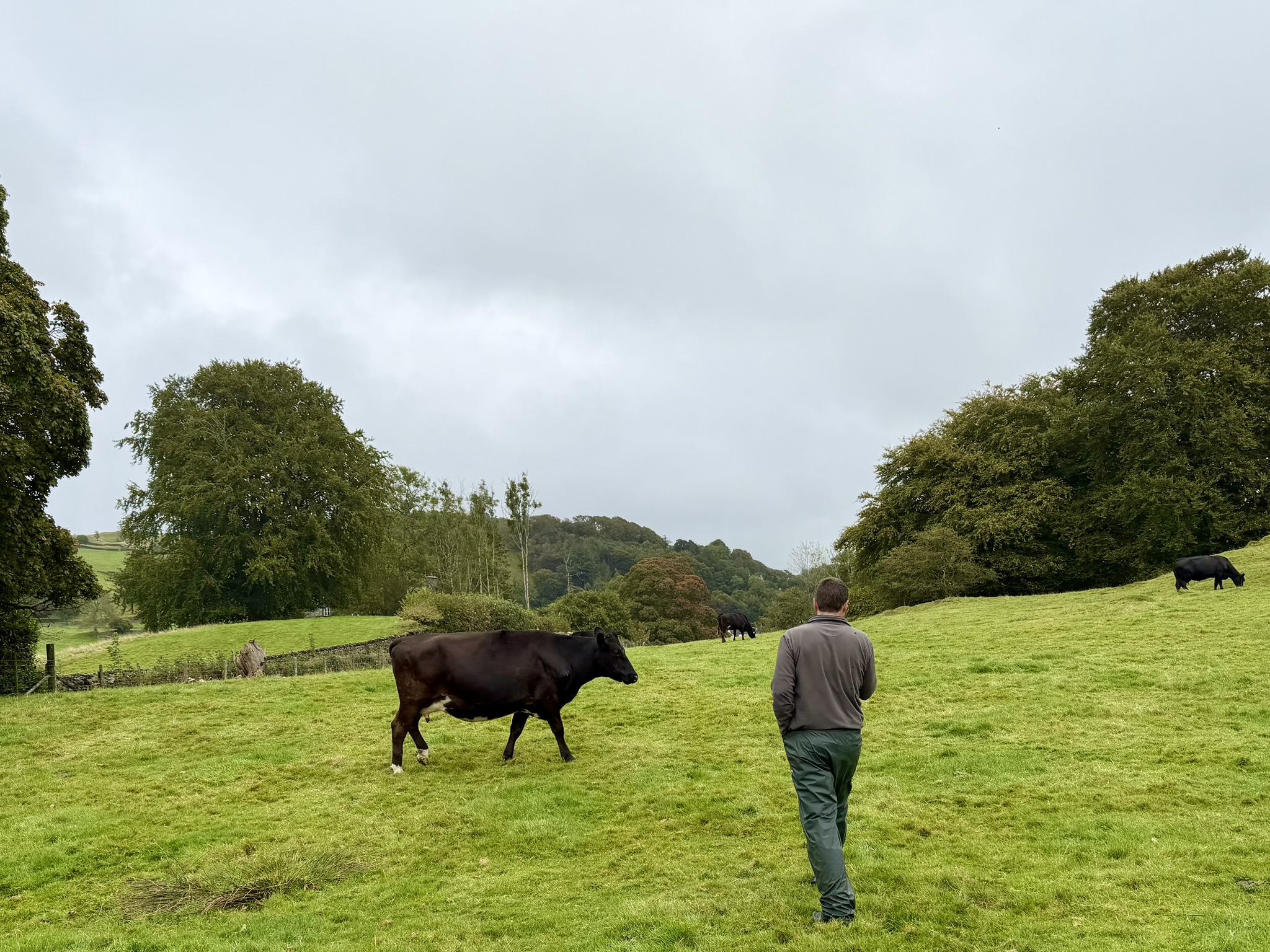At Hill Top, young tenant farmers Amy Dixon and Dan Fletcher are building a future among Herdwick sheep, uncertain agricultural policy and the legacy of Beatrix Potter