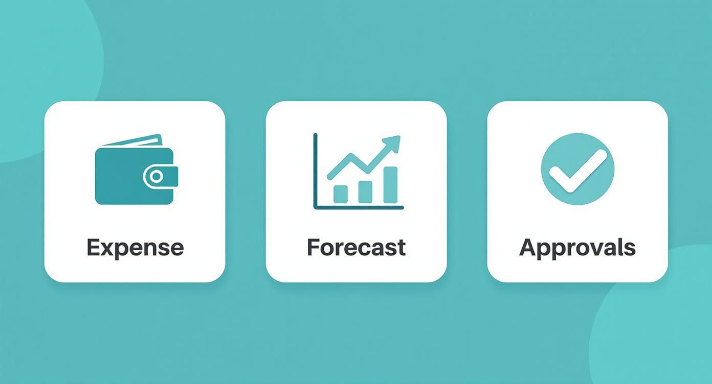Infographic about project budget management tools