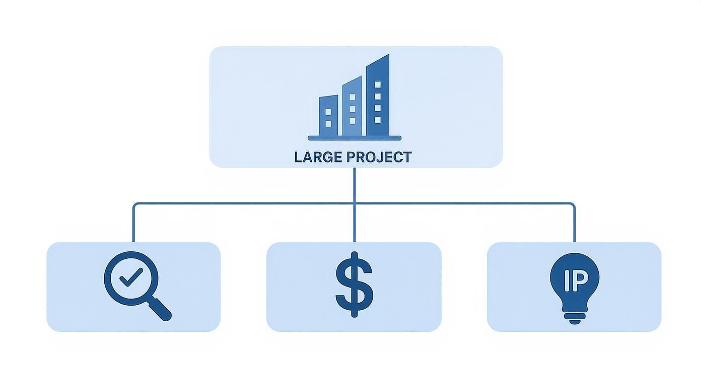 Diagram showing large project branching into three elements: quality assurance, budget, and intellectual property