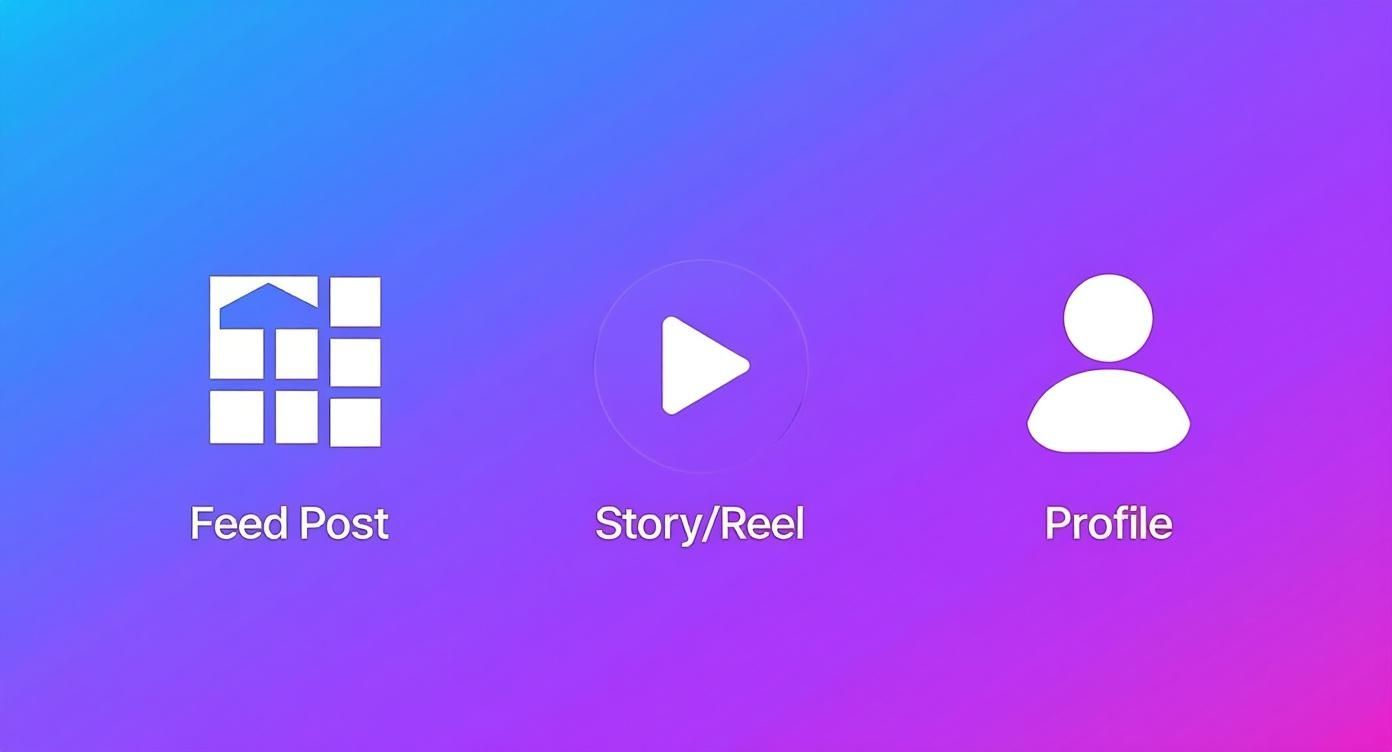 Three white icons on a blue and purple gradient background: Feed Post, Story/Reel, Profile options.