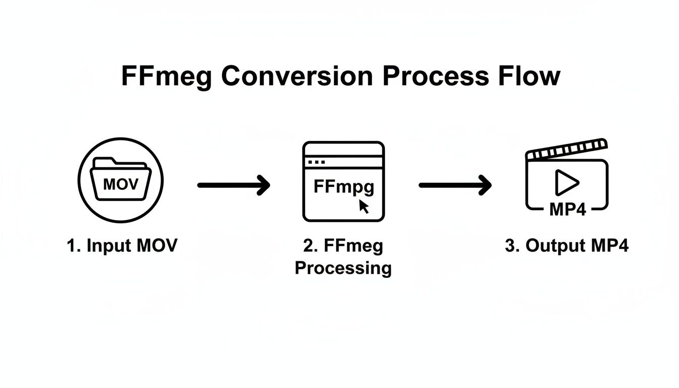 Flowchart illustrating the FFmpeg conversion process from MOV input to MP4 output.
