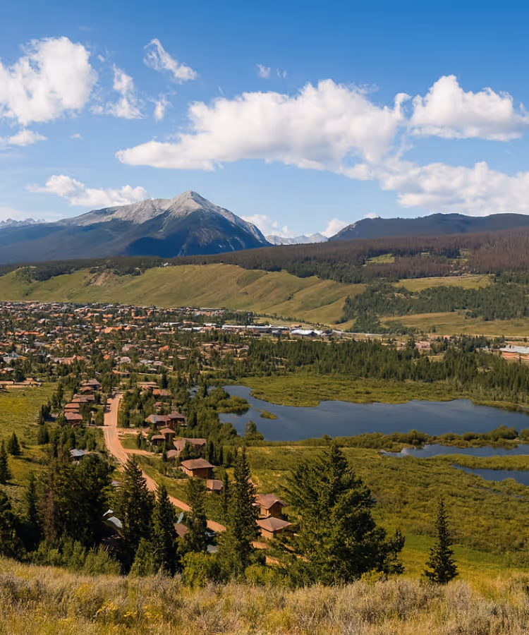 Commercial Organic / Food Waste