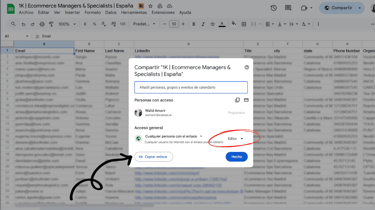Making a Google Sheet public and copying the share link for WaLead import