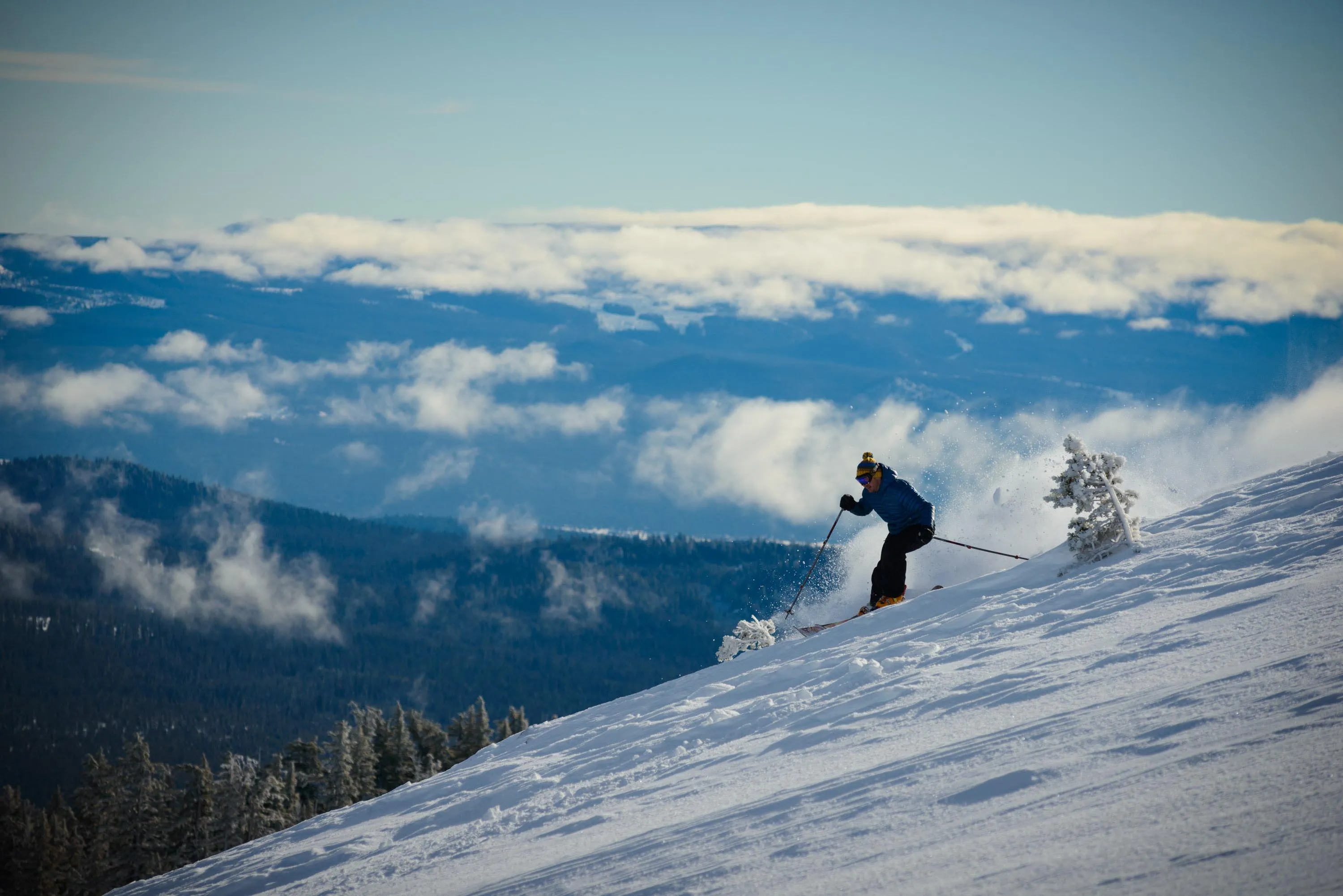 Skier going down a powder run.  Photo credit Tim Park Photography