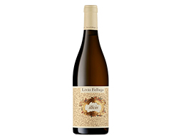Livio Felluga Illivio Magnum