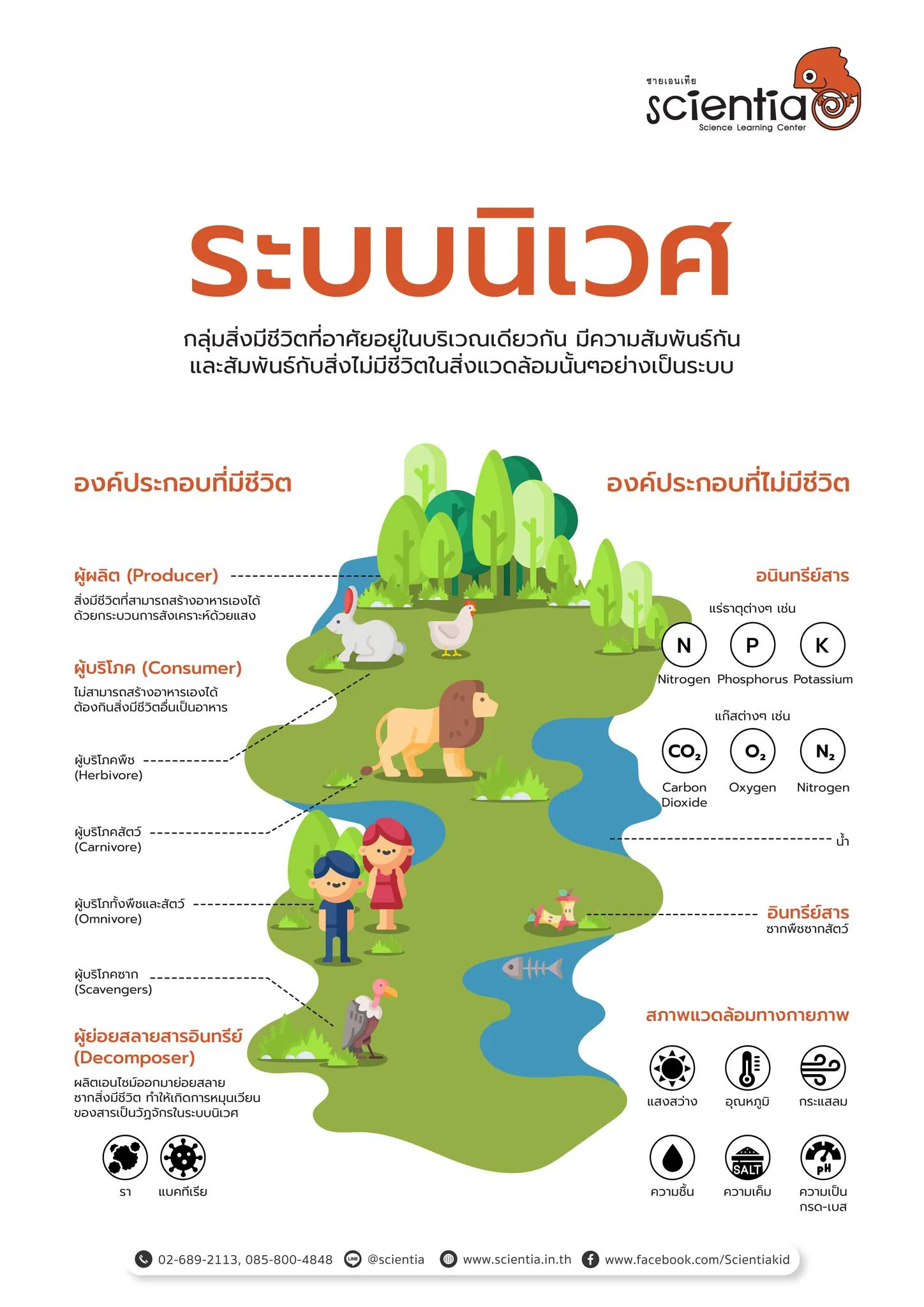 สถาบันสอนวิทยาศาสตร์ ติววิทย์ สสวท.วิทย์ ประถม | ซายเอเทีย