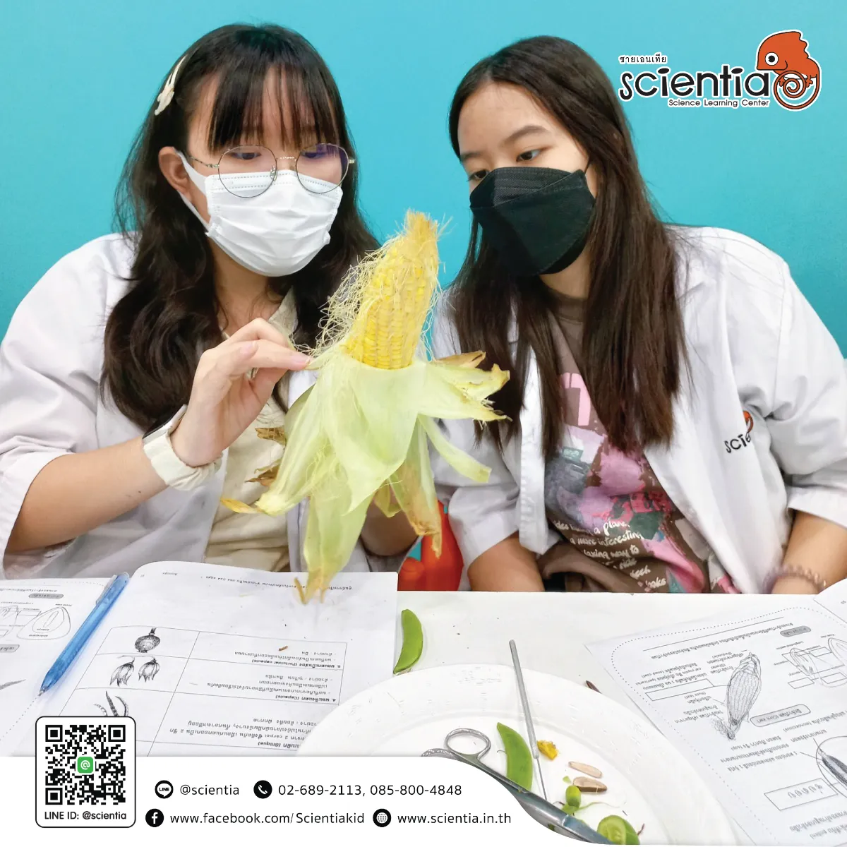 ห้องเรียนวิทย์ Intensive Lab - เตรียมสอบ KVIS MWIT KOSEN วมว พสวท | ซายเอเทีย