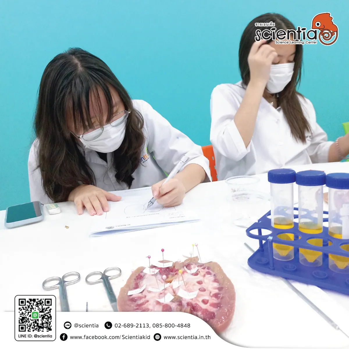 ห้องเรียนวิทย์ Intensive Lab - เตรียมสอบ KVIS MWIT KOSEN วมว พสวท | ซายเอเทีย