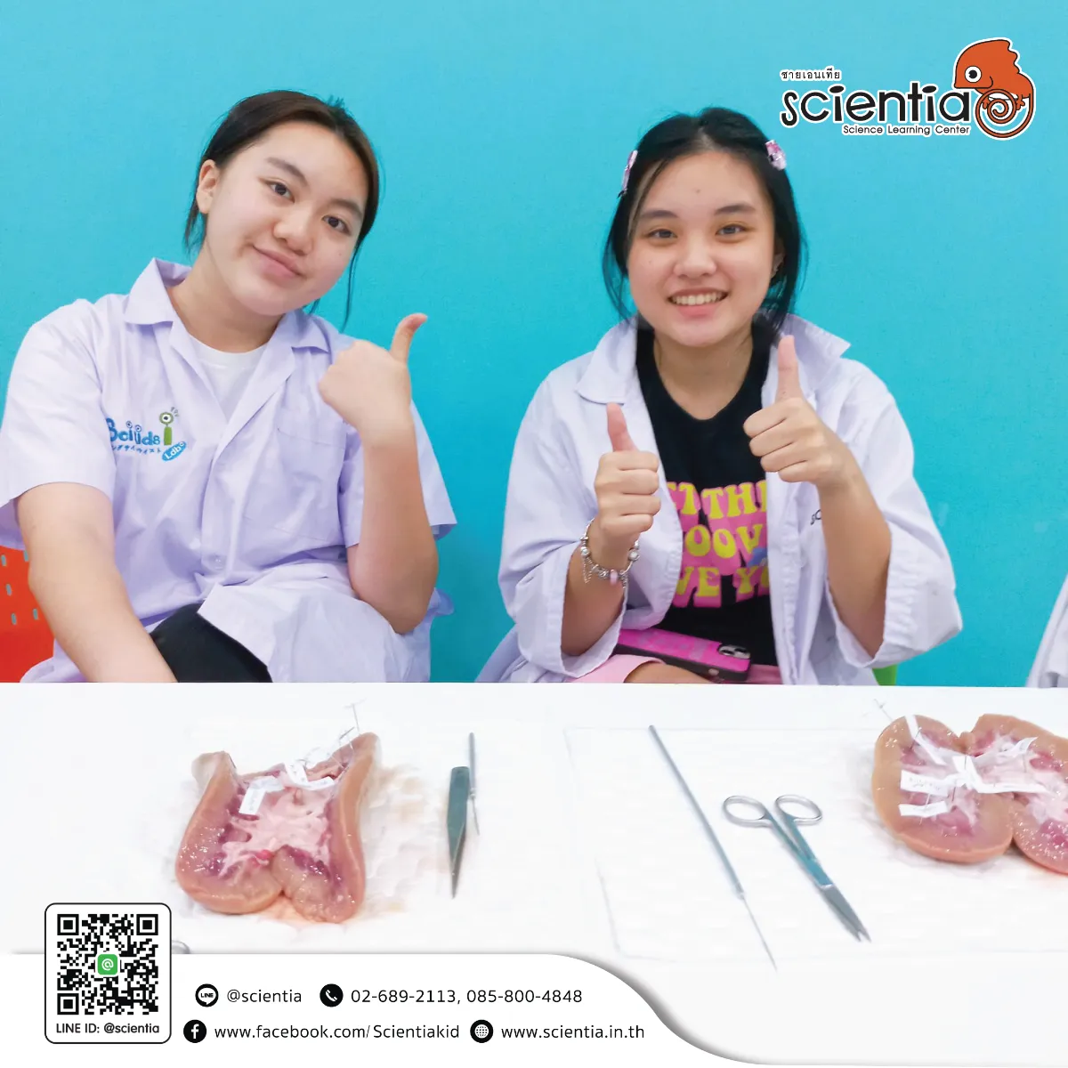 ห้องเรียนวิทย์ Intensive Lab - เตรียมสอบ KVIS MWIT KOSEN วมว พสวท | ซายเอเทีย
