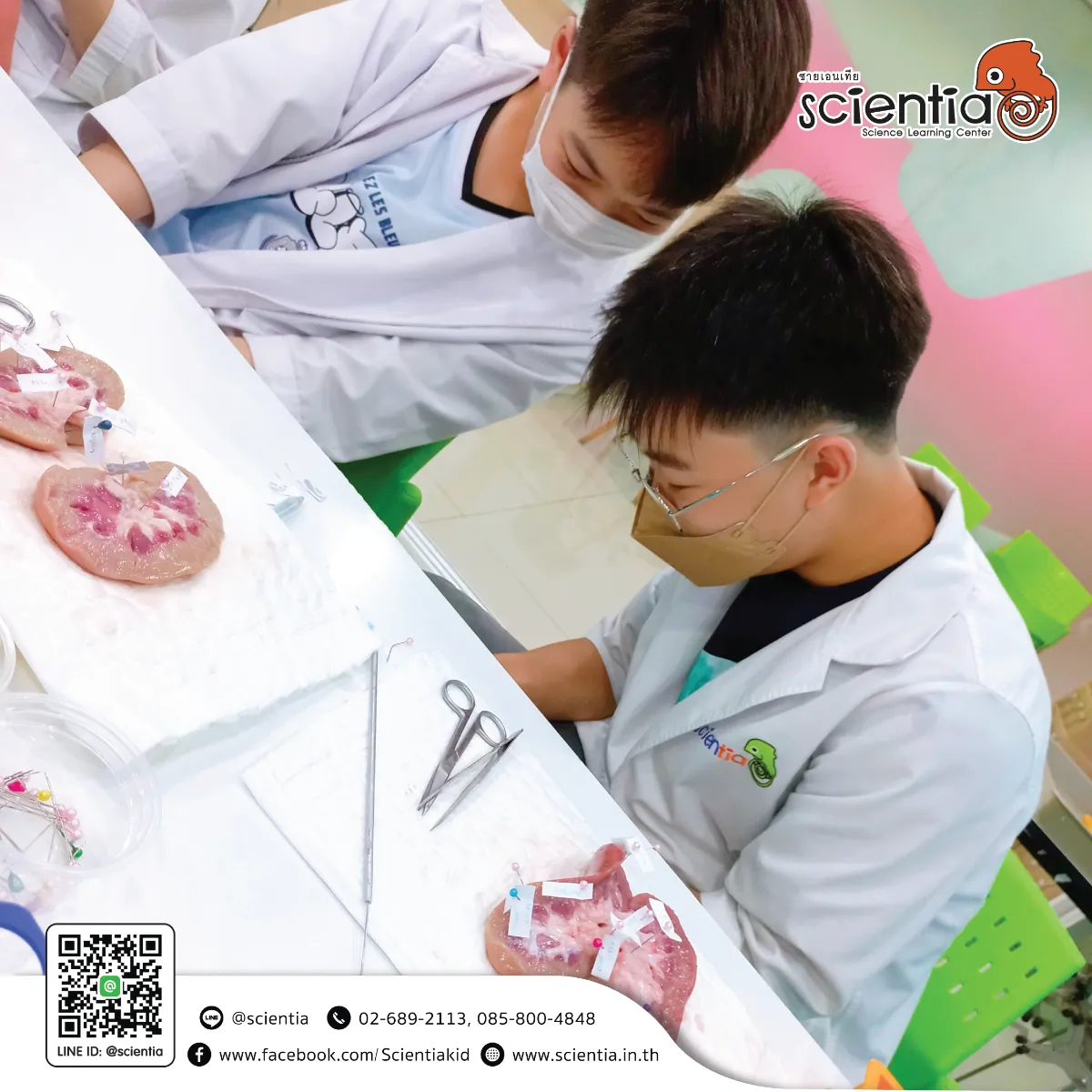 ห้องเรียนวิทย์ Intensive Lab - เตรียมสอบ KVIS MWIT KOSEN วมว พสวท | ซายเอเทีย