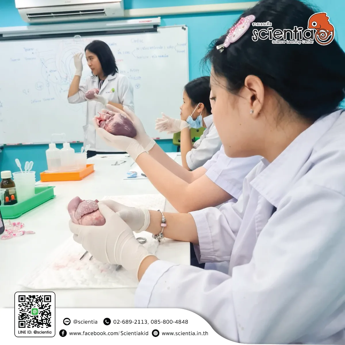 ห้องเรียนวิทย์ Intensive Lab - เตรียมสอบ KVIS MWIT KOSEN วมว พสวท | ซายเอเทีย